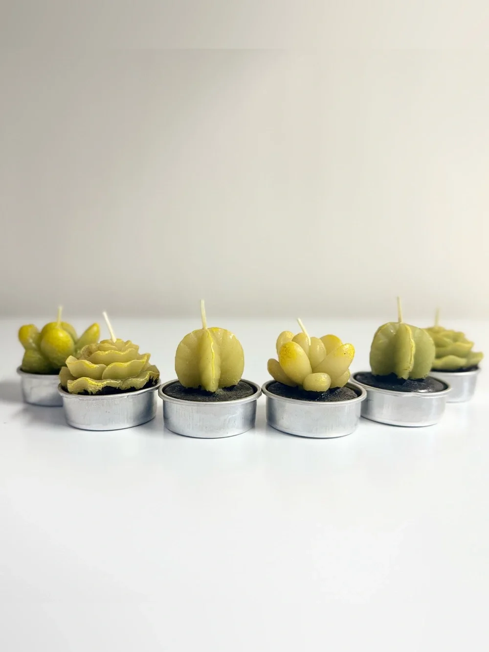 N/A cactus candles